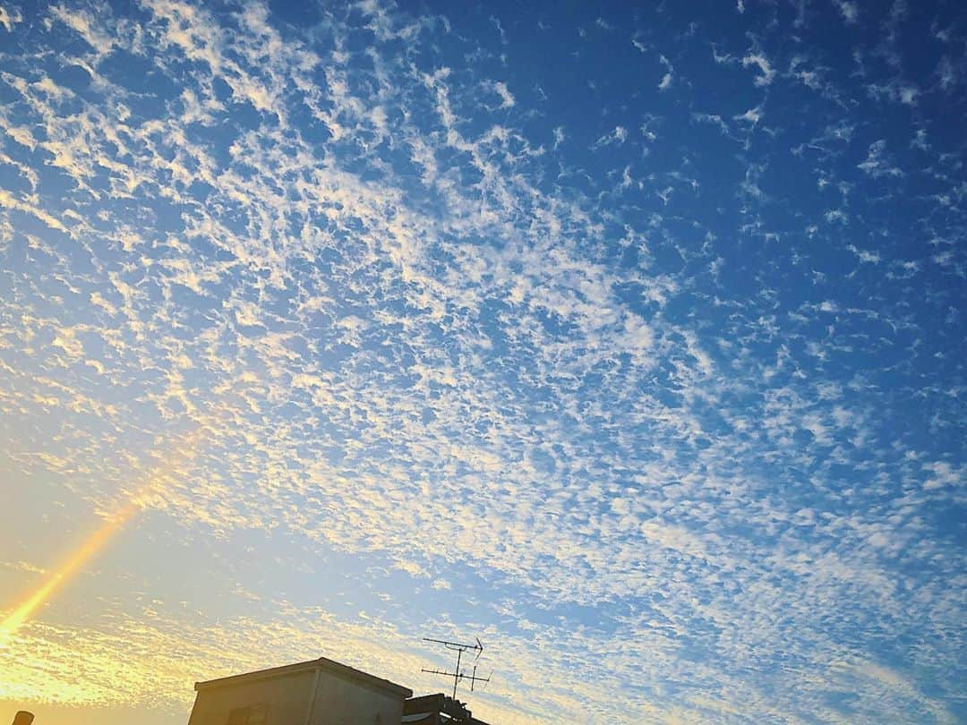 三倉佳奈さんのインスタグラム写真 - (三倉佳奈Instagram)「朝起きて窓を開けるとこんな空が。 「夕焼けみたいだね！」と娘。 早起きは気持ちいいですね。  昨日の配信公演ありがとうございました！ いつもと同じ公演ですが、おうちでも沢山の皆さんが見てくださってると思うと気持ちが弾みました。  日経ホール最終日です。 楽しみます！  #朝焼け #放課後の厨房男子 #日経ホール #明後日からは大阪✨」11月4日 9時58分 - kana_mikura0223