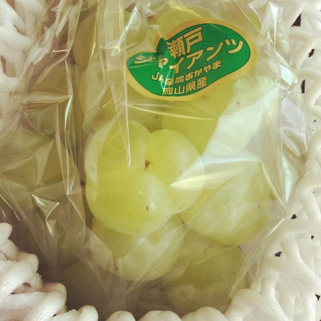 のインスタグラム：「本日のおめざ。 あっさりシャキシャキで美味でございます〜🍇💕」