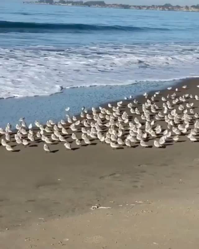 マリオン・コティヤールのインスタグラム