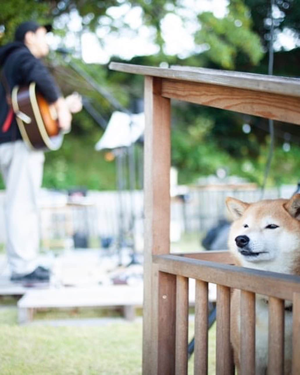 荒井岳史さんのインスタグラム写真 - (荒井岳史Instagram)「念願の伊勢はFOLK FOLK GARDENにケイシと共に、遂に行く事ができました。  東山くん始め、スタッフの皆さんや関わって一緒にイベントを作っていた方々が温かくていつものライブ以上のものを頂いた感じです。  ケイシのROOMS GARDEN TOURの参加もここまで。ROOMS最多出演者だからなのか、まるで自分のイベントの様な気持ちにさえ毎回なってます笑 ますます寒くなるから、この先も気をつけつつ楽しんで欲しいもんです。  観に来てくれた皆さん、ありがとうございました。 ここに書き切れないくらい、本当に良い日でした🙆🏻‍♂️  #keishitanaka #folkfolkgarden  #荒井岳史」11月4日 10時31分 - takeshi_arai