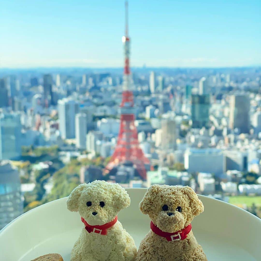 マキ・コニクソンさんのインスタグラム写真 - (マキ・コニクソンInstagram)「準備万端！👍🏼 Boo&Koinu ママ行ってくるねー！👋🏼  #Tokyo Tower x Boo&Koinu ❤️ #今日も元気モリモリ💪🏼」11月4日 10時38分 - makikonikson