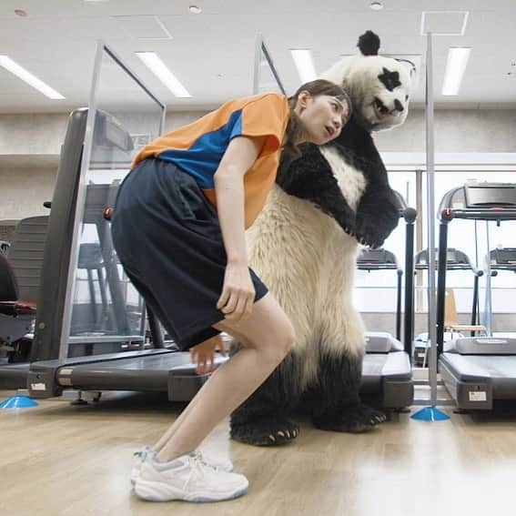 星星（セイセイ）さんのインスタグラム写真 - (星星（セイセイ）Instagram)「😟💦🐼 #大丈夫？のポーズ #にょーん #石川みなみ アナ . きょうの #ベラベラENGLISHは ...💯 🌟cramp 🌟足がつる . レイア、テスト✏️頑張ってるかなあ？🤔🤔🤔 #にょーん  . #星星 #パンダ #panda #pandagram #パンダ好きな人と繋がりたい #ZIP!」11月4日 10時53分 - seisei_panda