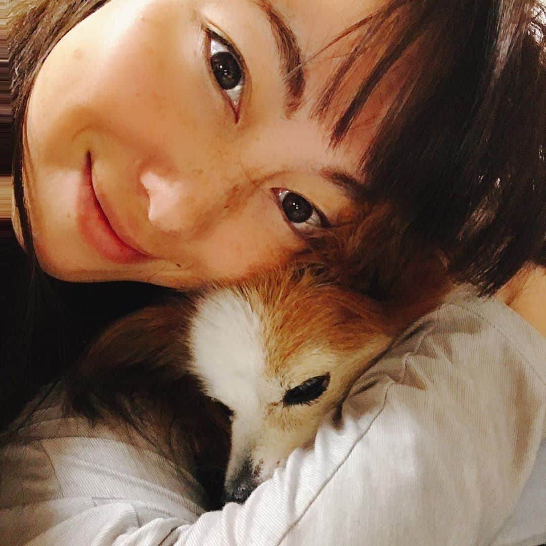 佐藤康恵さんのインスタグラム写真 - (佐藤康恵Instagram)「大好きすぎて❤️😍ギュー🐶💦 この時期になるとくっついてくるので、私も離しません(^^)♡  Have a nice day❣️ 💖💖💖 佐藤康恵音楽配信はコチラから🔽 https://big-up.style/E9iLo640Kb 💖💖💖 佐藤康恵のYouTubeチャンネル Yasue Sato Music ♡♪🔽 https://youtu.be/QTVidBCnG9Q  #ysjewel #yasuesato #佐藤康恵 #japanesemodel #japaneseactress #singer #歌手 #女優 #モデル #youtuber #曲リリース #mama #二児の母 #spotify #サンシャインアワーズ #sunshinehours」11月4日 10時52分 - yasuesato.official