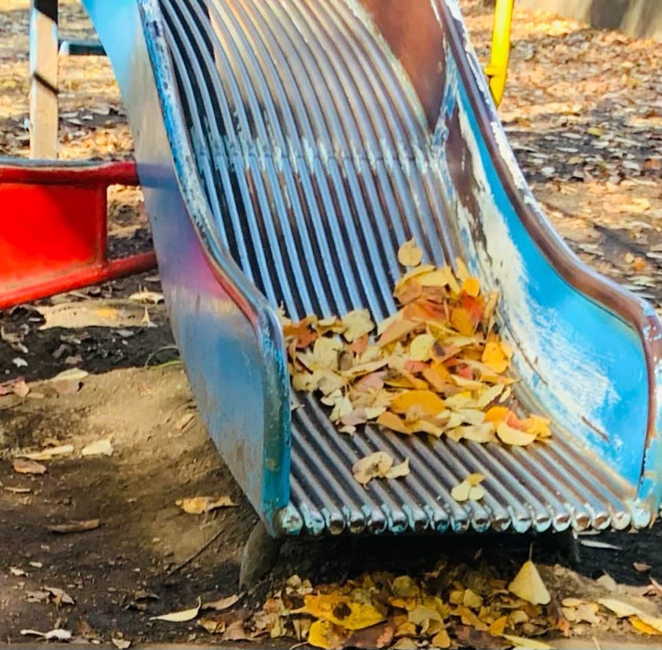Chageさんのインスタグラム写真 - (ChageInstagram)「「Autumn Leaves」 それにしてもいい天気です。なので歯医者行って来ます。 #chagekimi  #12月9日発売  #bootup  #ハイシャおじさんクリ部」11月4日 11時19分 - chageshu06