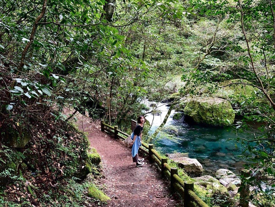 黛英里佳さんのインスタグラム写真 - (黛英里佳Instagram)「夏の終わりに熊本県菊池市にある菊池渓谷に行ってきました😊﻿ ﻿ 下調べ無しで行ったら予想以上の素晴らしさにびっくり😳﻿ ﻿ 水がめちゃくちゃ澄んでいて、緑が濃くて、最高のマイナスイオンを浴びながら気軽に散策できて最高でした😆✨﻿ ﻿ まだまだ暑い時に行ったけど、渓谷はひんやり涼しくて気持ち良かったです☺️﻿ ﻿ 今は紅葉が綺麗なのかな🍁✨﻿ ﻿ ﻿ #熊本#菊池渓谷」11月4日 11時42分 - erikamayuzumi_official