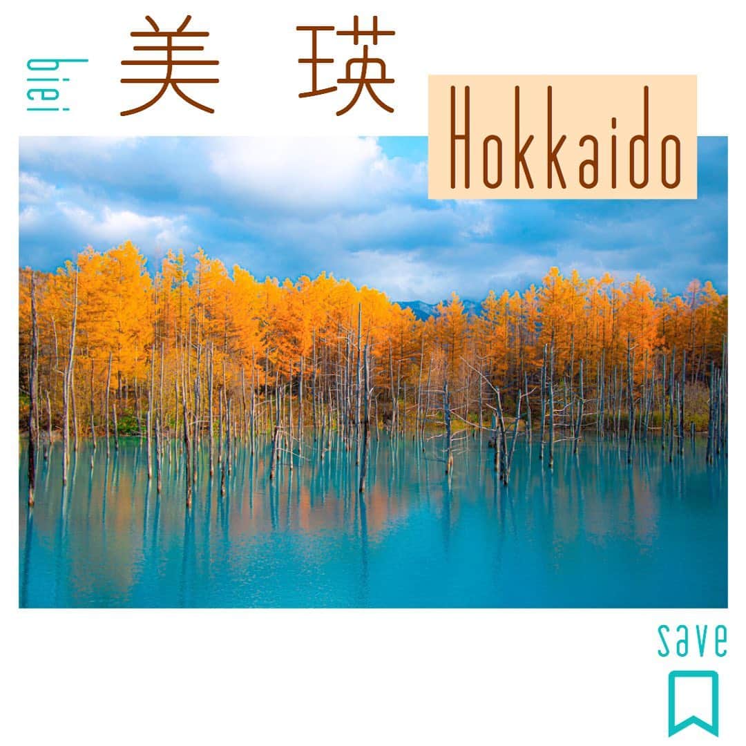 Skyticket.jpさんのインスタグラム写真 - (Skyticket.jpInstagram)「【美瑛の秋　青い池　北海道】  北海道、美瑛にある青い池は紅葉の時期を迎えています。イエローとエメラルドブルーのコントラストが美しいです。観光する際におすすめなのが風のないよく晴れた午前中や明け方に訪れること。 夜間は来年4月までライトアップも行われます。  +++++++ +++++++ +++++++ 美瑛町　青い池 住所：071-0235 上川郡美瑛町白金 営業時間：11月～4月　AM 8：30～PM 9：30 アクセス：ＪＲ美瑛駅より車で約20分　道北バスで約20分 駐車場：有/普通車　270台　（駐車場利用料あり） +++++++ +++++++ +++++++  ・  ・  ▼旅先の絶景やおすすめ写真を大募集📷  #skyticketrip を付けた投稿はストーリーズでご紹介させてください🌈    #美瑛 #北海道 #青い池 #北海道旅行 #biei #hokkaido #旅行 #北海道観光 #風景 #白ひげの滝 #家族旅行 #japan #青池 #비에이 #北海道旅 #美瑛青い池 #美瑛町 #紅葉 #スカイチケット #skytcket #旅好きな人とつながりたい #秋旅 #旅行好き女子」11月4日 11時44分 - skyticket.jp