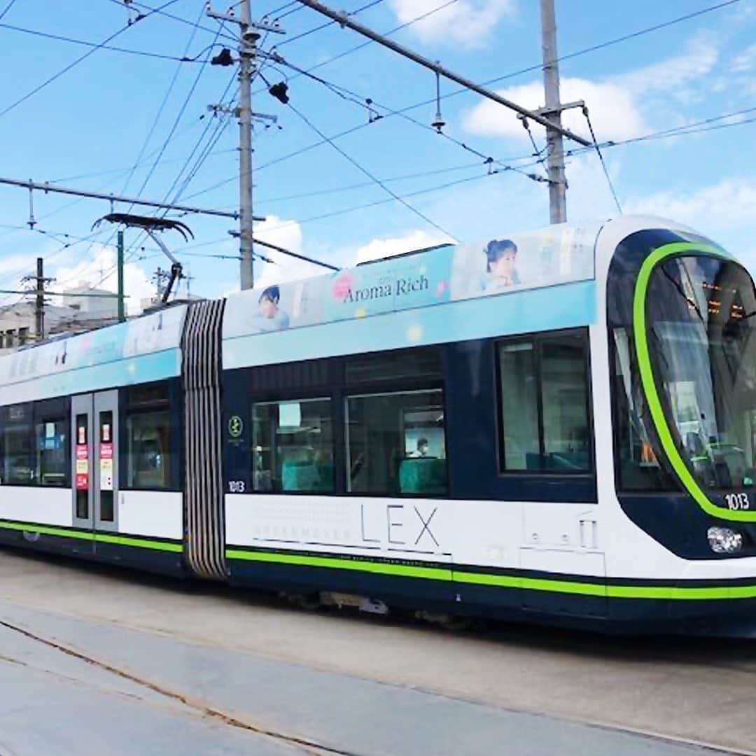 ソフラン アロマリッチ（AromaRich）のインスタグラム：「【#アロマリッチ 電車ジャックレポ！】﻿ ボトルデザインリニューアル・新CM公開を記念して、アロマリッチデザインに染まった電車が地域・期間限定で走行していました！﻿ ﻿ ジャックされた広島電鉄とJR東日本山手線の電車は目撃しましたか？﻿ 広島電鉄：10月1日(木)～10月31日(土)﻿ JR東日本山手線：10月16日(金)～10月31日(土)﻿ ﻿ すでに走行は終了していますが、この期間に電車を見た、もしくは乗車した方は、ぜひコメントで教えて下さいね✨﻿ ﻿ #aromarich #ソフランアロマリッチ﻿ #ライオン #LION﻿ #新垣結衣 さん #ガッキー﻿ #電車 #広島電鉄 #山手線 #JR東日本 #電車ジャック﻿ #匂いフェチ #香り #いい香り﻿ #家事 #洗濯 #お洗濯 #洗濯物﻿ #香りフェチ #花のある生活﻿ #日々の暮らし #暮らしを楽しむ﻿ #アロマリッチのある生活﻿ #アロマミックス﻿ #アロマリッチジュリエット﻿ #アロマリッチスカーレット﻿ #アロマリッチダイアナ﻿ #アロマリッチサラ﻿ #アロマリッチベル」