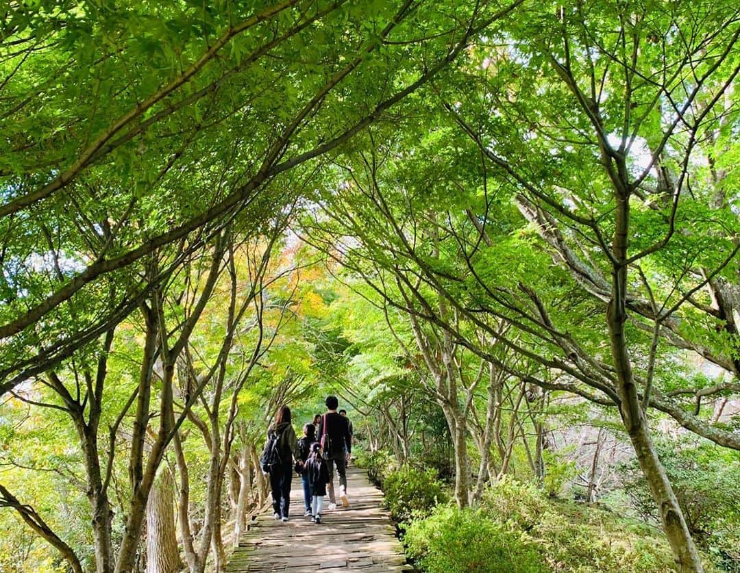 柳田菜月さんのインスタグラム写真 - (柳田菜月Instagram)「. 初GoTo利用して伊豆へ🗻🚗 秋を満喫🍁 . #gotoトラベル  #伊豆の国パノラマパーク  #富士見テラス #ドライブ  #旅行  #休日　 #travel #trip #fujimiterrace  #drive #autmn #dayoff」11月4日 21時34分 - natsuki.3190