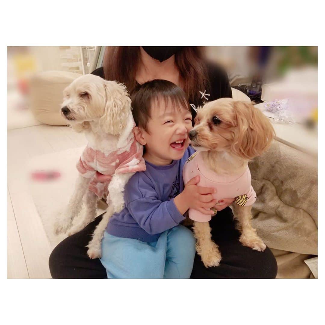 辻希美さんのインスタグラム写真 - (辻希美Instagram)「いい写真🐶👶🐶💕  #幸空の笑顔は私の元気の源 #いい写真 #ばっしーカメラ #🐶👶🐶💕」11月4日 21時48分 - tsujinozomi_official
