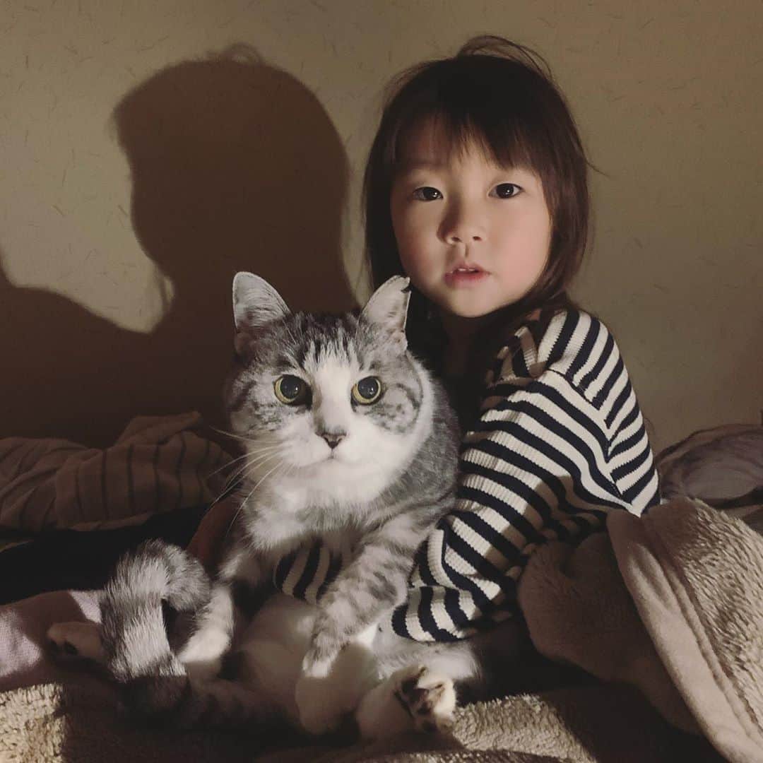 坂本美雨さんのインスタグラム写真 - (坂本美雨Instagram)「きみたち、さては姉妹だな  #サバ美となまこちゃん #今日のなまこちゃん #サバ美 #cat」11月4日 22時02分 - miu_sakamoto