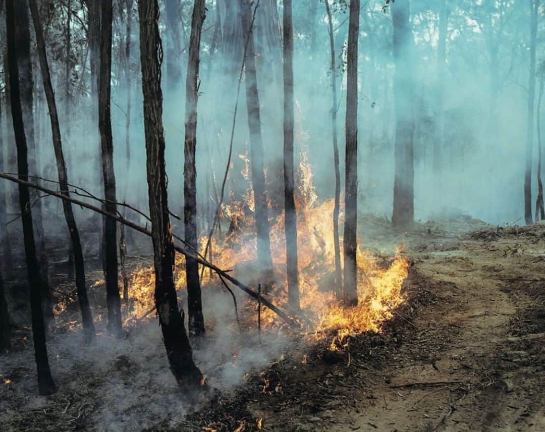 柏田テツヲのインスタグラム：「@transitmagazine  【未来に残したい風景】『消えゆく世界特集』発売中。オーストラリアの火の森を追いかけて。一度火が収まったようにみえても、風に煽られて残り火から引火して大きな火災になることも。広範囲に雨が降りつづかない限り消火にはいたらない。Photo by @tetsuokashiwada  ‪#未来に残したい風景 #TRANSIT49 #美しき消えゆく世界への旅 #WWFandTRANSIT #TRANSIT #TRANSITmagazine #トランジット #travel #trip #australia #forestfire‬」
