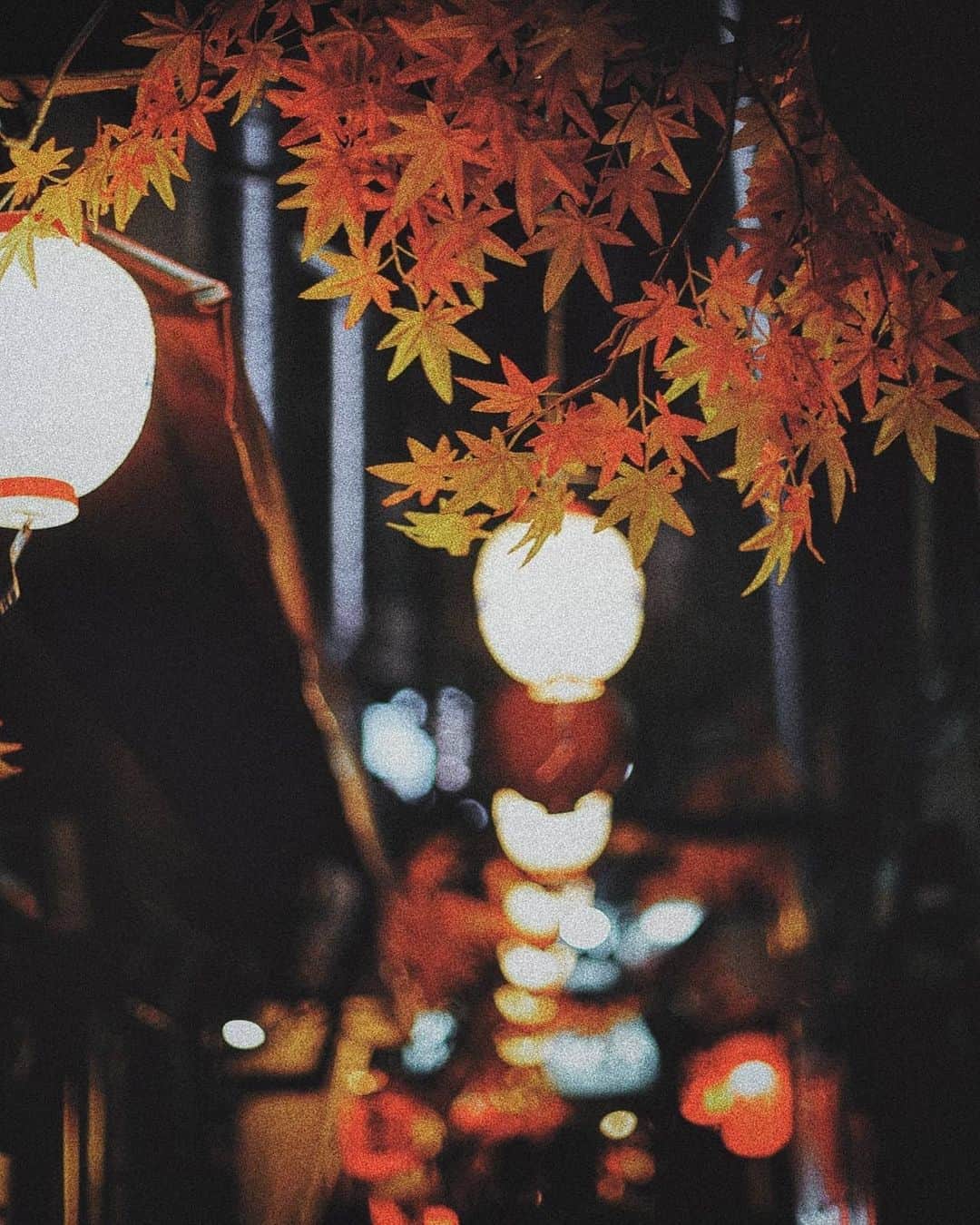 Berlin Tokyoさんのインスタグラム写真 - (Berlin TokyoInstagram)「Rainy autumn night in Tokyo. . W/@georgiarisa  . . . #hellofrom tokyo #japan . #instagram」11月4日 22時24分 - tokio_kid