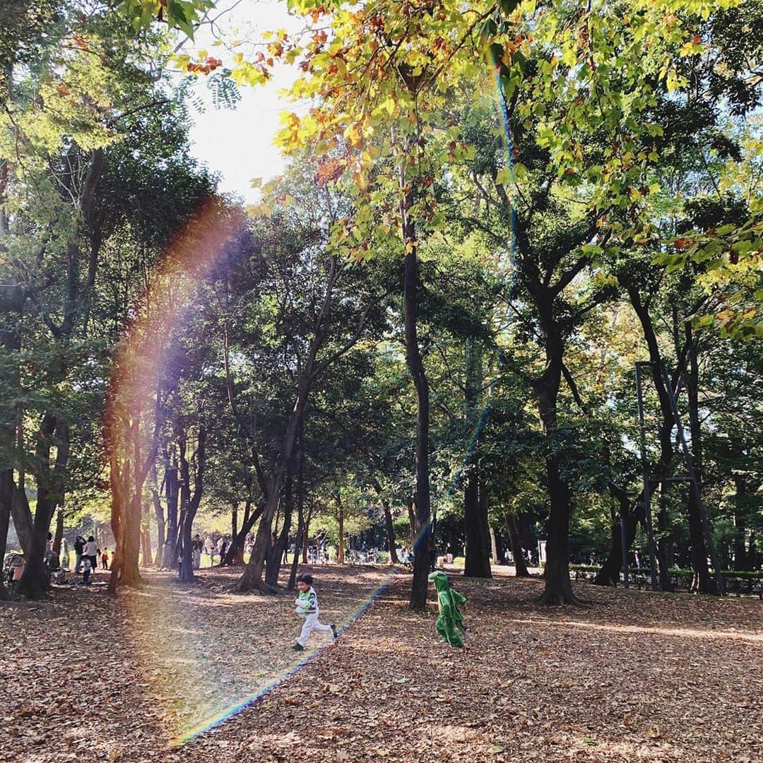 宇藤えみさんのインスタグラム写真 - (宇藤えみInstagram)「1歳から一緒の大好きなお友達たち。 内緒だよ〜ってキャッキャッと サプライズのお誕生日ケーキ🎂 ほんとに嬉しそう♡w(2個目の動画癒し) 喧嘩がはじまったと思ったら追いかけっこしてすぐ仲直りしてたり みんな最高〜に可愛かったなぁ♡ #成長記録」11月4日 22時20分 - emiuto