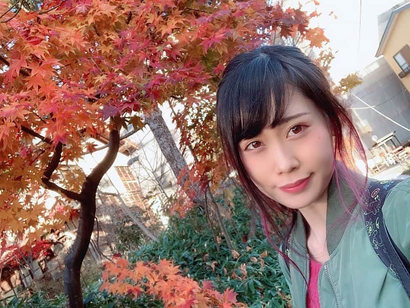 釘町みやびさんのインスタグラム写真 - (釘町みやびInstagram)「今日は、弾丸！日帰り草津でした♥ . . どうしても草津に行きたかったから、とっても嬉しい♥ 雑誌の撮影もできたし、自分の行きたいお湯にも入れた！ . . そしてなんと言っても… #紅葉 ですね🍁 絶対みたかったんだーーー！ すごく綺麗だった♡ . あと少し冷えるのに、街を漂うお湯の温かさに抱かれる感じ…たまらん！ . . 沢山写真撮ったから、少しずつ載せますね♨️ . . . 現在、草津温泉アンバサダーオーディションに参戦中！ 草津愛で絶対勝ち取りたいです。 コメントやいいね、何卒お願いします…！！！！！🔥 . . . 草津温泉観光協会 様 @kusatsu_onsen_official  オーディションサイトnarrow 様 @narrow_official  . #草津温泉  #草津温泉アンバサダー  #草津  #温泉  #旅行  #kusatsu  #kusatsuonsen  #gotoキャンペーン  #草津町  #群馬  #群馬観光  #温泉旅行  #ゆもみちゃん  #草津好き  #草津愛  #温泉女子  #温泉愛  #温泉街  #風景  #ファインダー越しの私の世界  #湯畑  #貸切風呂  #貸切温泉  #グラビア  #温泉好き  #温泉巡り  #草津温泉旅行  #932photo  #932opc」11月4日 22時25分 - miyajyaga382