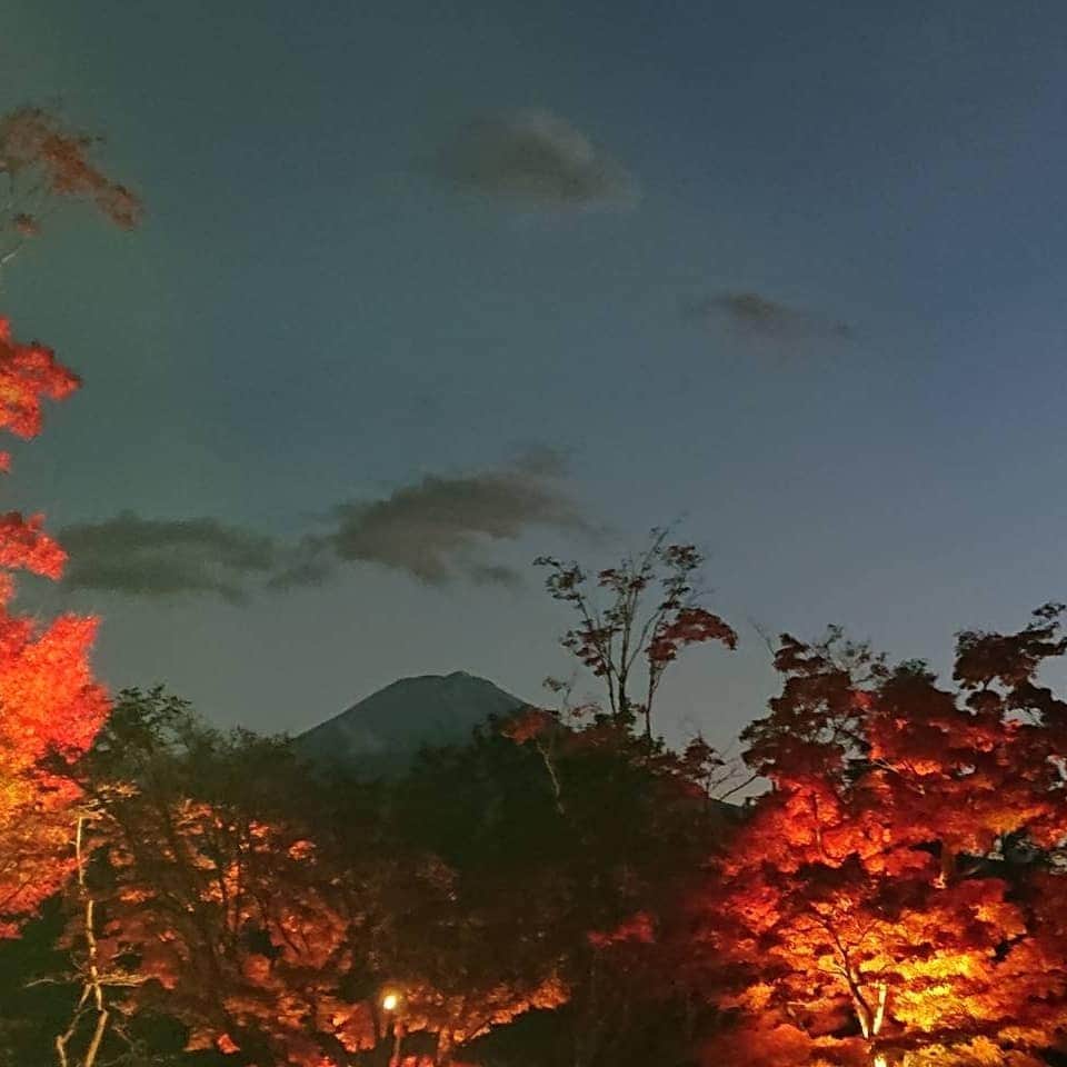 綾小路きみまろさんのインスタグラム写真 - (綾小路きみまろInstagram)「こんばんは。 綾小路きみまろです。  今日の富士山🗻 今日の紅葉🍁  よい季節です！  #綾小路きみまろ #河口湖 #富士山 #紅葉 #紅葉狩り」11月4日 22時55分 - ayanokojikimimaro_official