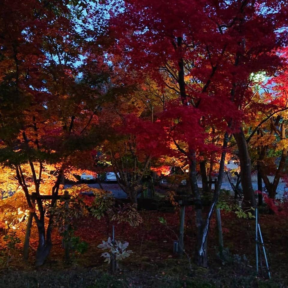 綾小路きみまろさんのインスタグラム写真 - (綾小路きみまろInstagram)「こんばんは。 綾小路きみまろです。  今日の富士山🗻 今日の紅葉🍁  よい季節です！  #綾小路きみまろ #河口湖 #富士山 #紅葉 #紅葉狩り」11月4日 22時55分 - ayanokojikimimaro_official