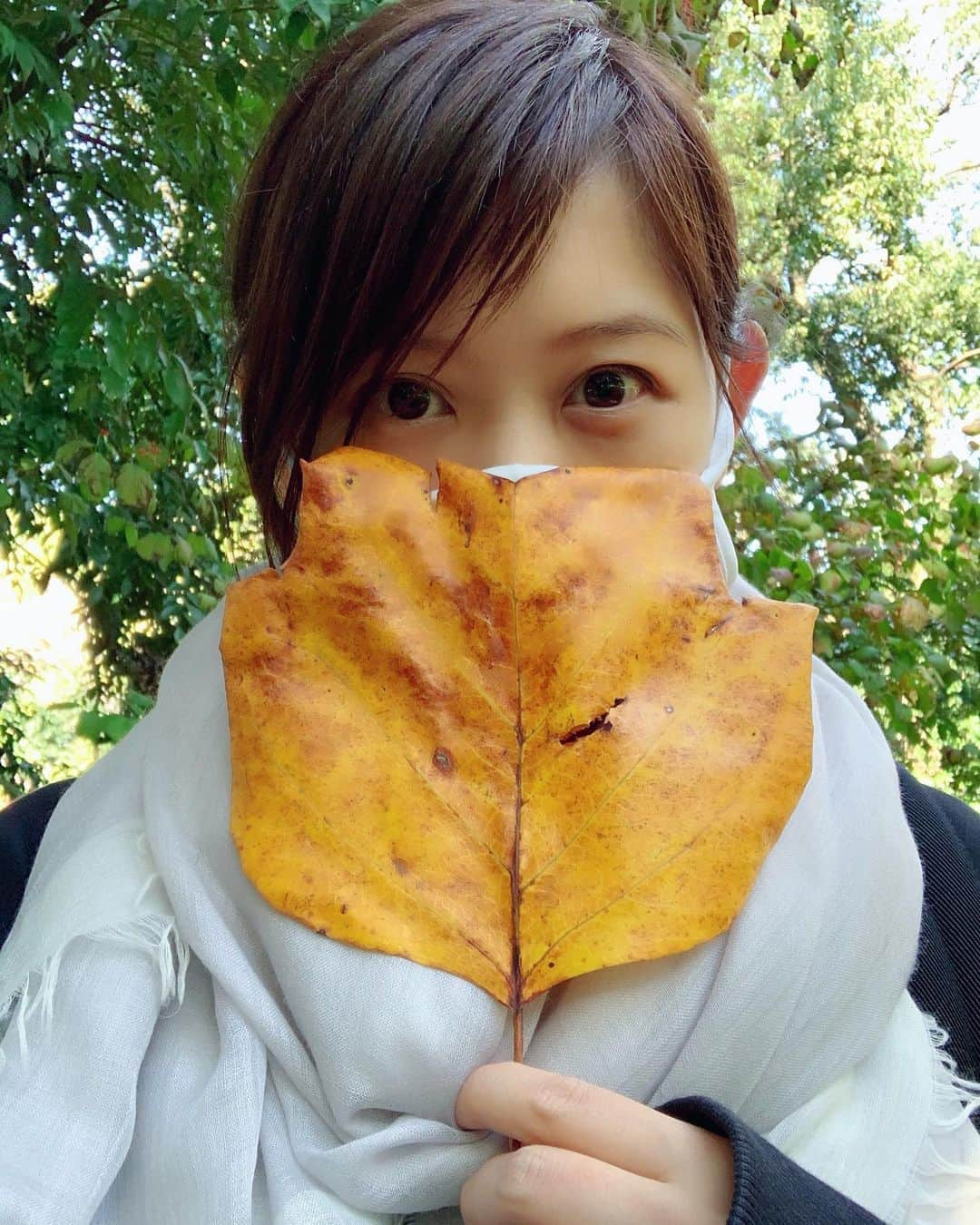 絢香さんのインスタグラム写真 - (絢香Instagram)「秋🍁 空気が澄んで気持ちいい〜 木々が色づいてキレイだなぁ  どんぐり拾いを黙々と続ける娘😁  #秋 #autumn」11月4日 14時15分 - ayaka_official_jp