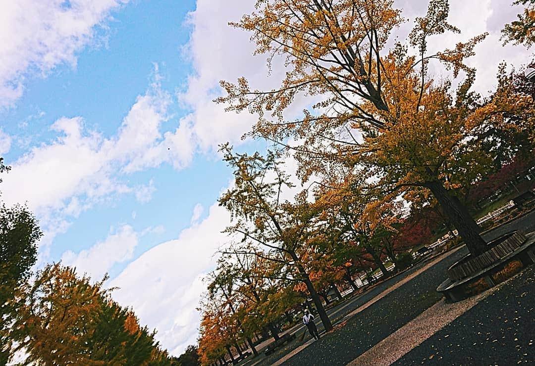 山田彩乃さんのインスタグラム写真 - (山田彩乃Instagram)「秋ですねえ🍁」11月4日 14時27分 - ayano.yamada