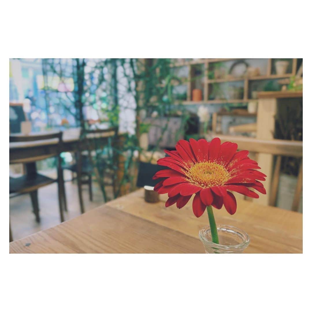 竹仲絵里さんのインスタグラム写真 - (竹仲絵里Instagram)「レギュラー収録前のひとり喫茶  いつも通りがかりで 店内に緑が沢山あって気になっていたお店  ゆっくりとしたひととき。  心呼吸できました✴︎✴︎  やっぱり緑はいいなぁ。。  #緑のある暮らし #喫茶店 #ひとりカフェ #心呼吸」11月4日 14時29分 - eri_takenaka