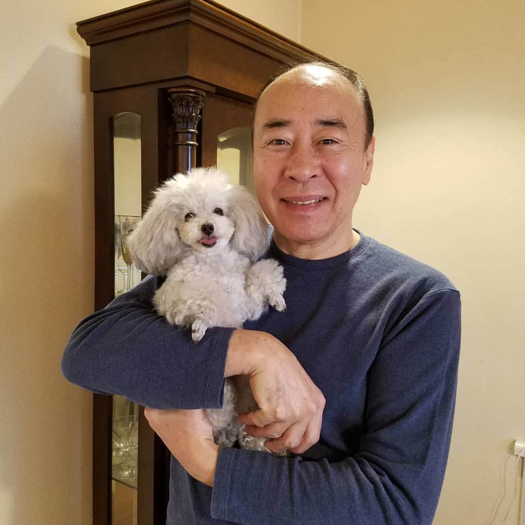 モト冬樹のインスタグラム：「笑う犬#モト冬樹#ギター#妻の妹のプードル#麦ちゃん」
