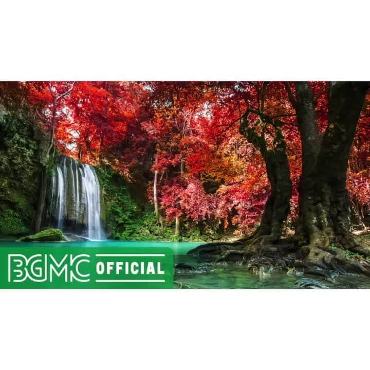 のインスタグラム：「Morning Healing and Quiet Meditation Music for Positive Energy, Relaxing, Concentrating  Please check the full version on #YouTube from the profile URL.  #BGMC #BGMClife #GreenMusicBGMchannel #StayHome #healing #meditation #relaxing」