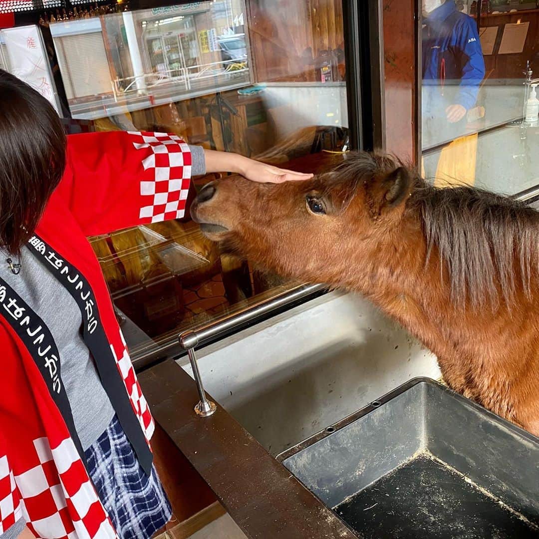 新山大さんのインスタグラム写真 - (新山大Instagram)「え、馬？ ポニー？ バク？ #ポニーでした #チャチャって名前だそうです #かわいい #ポニーがいるカレー屋さん #🐴 #🍛 #Festa #八戸」11月4日 15時15分 - dai_niiyama