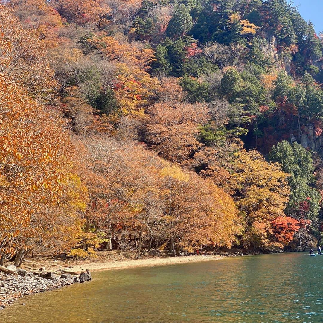 ワシントン・フェラーリさんのインスタグラム写真 - (ワシントン・フェラーリInstagram)「栃木県の中禅寺湖へ幼なじみと紅葉を見に行きました🍁この日は雲一つなくて今までみてきた紅葉の中で1番綺麗だなって思いました。夜は満月が凄かった。 本当に日本の四季は素晴らしい。 なにより時間の流れをゆっくり幼なじみと過ごせたのは最高の時間でした。中禅寺湖の水をろ過して飲んだんですけどめちゃくちゃ美味しかった🥳👌」11月4日 15時38分 - washingtonferrari