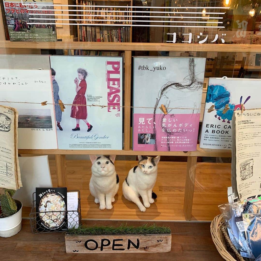 Kachimo Yoshimatsuのグルメインスタ