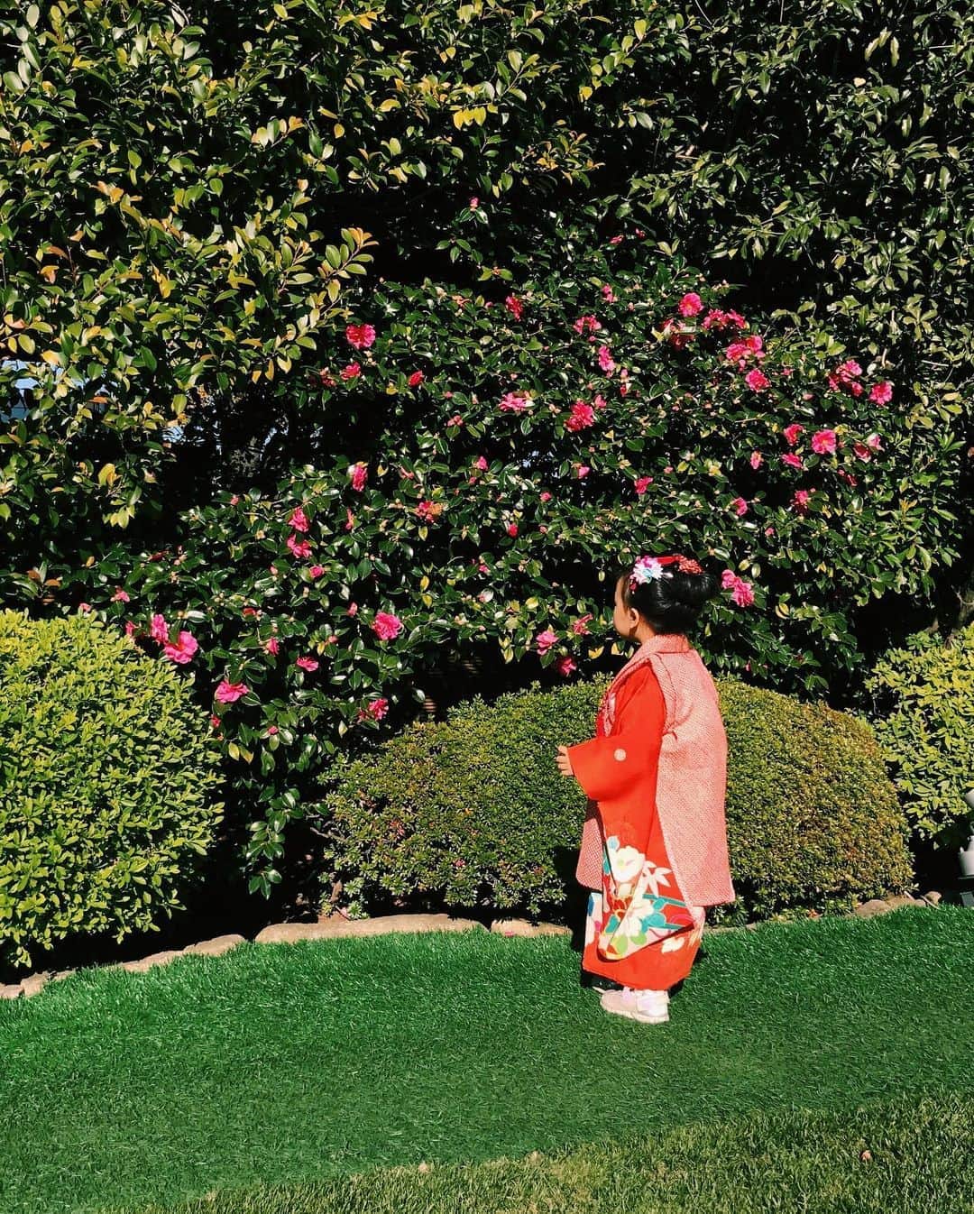 ベビちぃ。さんのインスタグラム写真 - (ベビちぃ。Instagram)「今日は七五三の写真撮影をしたよ📸 3歳のときは、赤いお着物で同じところで撮ったんだ！ わたしって大きくなったでしょ？ 1枚目の写真は泣いてるわけじゃなくて眩しかったんだ☀️ 良い天気で気持ちよかったな〜❣️ #七五三 #七五三7歳 #七五三ヘア」11月4日 16時06分 - babychi_official