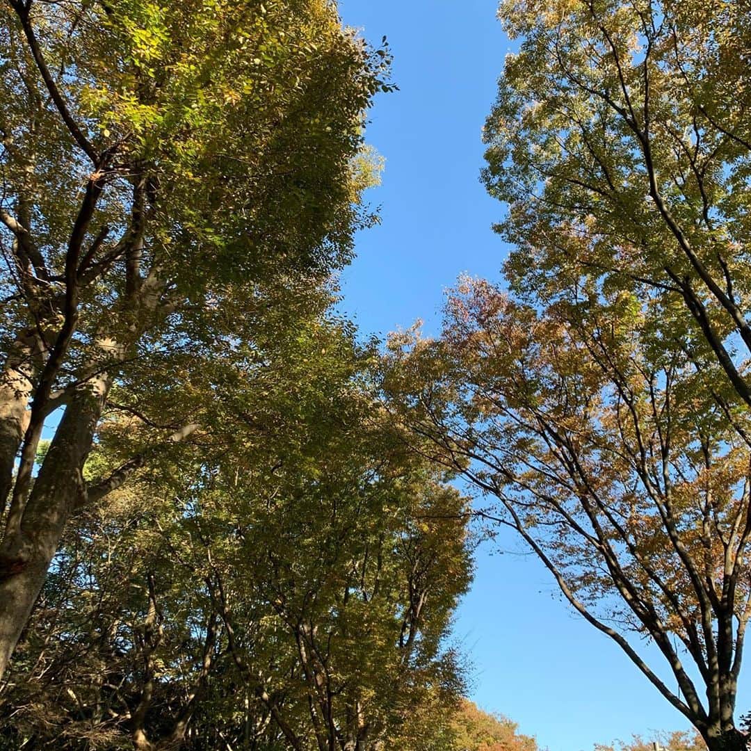 荒木宏文のインスタグラム：「朝から予定も入っていたので、予定を済ませたらそのまま歩行瞑想。 気付けば4時間経ってた。」