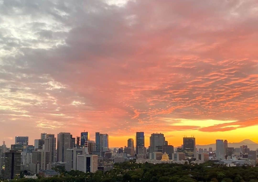 Palace Hotel Tokyo / パレスホテル東京のインスタグラム