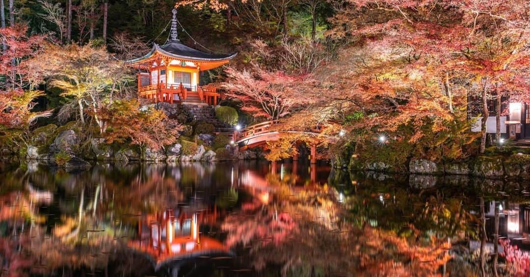 関西電力株式会社さんのインスタグラム写真 - (関西電力株式会社Instagram)「＼京都の紅葉スポット🍁／ 今回ご紹介するのは、京都市伏見区にある醍醐寺の風景✨ あでやかに色づいた紅葉と朱塗りの弁天堂がフレームに収まった、秋の京都の魅力がギュッと詰まった1枚です🍁 . ※写真は過去に撮影したものです --------------- 《投稿をご覧の皆さまへ》 関西電力Instagramでは、関西地方の灯、あたたかみのある風景のお届けを通して、皆さまの心に灯りがともるような癒しをお届けしてまいります。 外出の際は引き続き感染予防の徹底を心がけましょう。 --------------- . #日本の風景 #神社仏閣 #紅葉 #もみじ  #ライトアップ #お寺 #リフレクション #秋の風景 #お寺巡り #秋の京都 #水鏡 #京都 #kyoto #そうだ京都行こう #醍醐寺 #loves_united_japan #ダレカニミセタイケシキ  #bestphoto_japan #灯 #ptk_japan  #絶景delic #日本の絶景 #絶景辞典 #貴重な体験 #景色最高 #tripgramjp  #best_expression_night #あえてシェア #お写んぽ　#インスタスポット」11月4日 17時00分 - kanden.jp