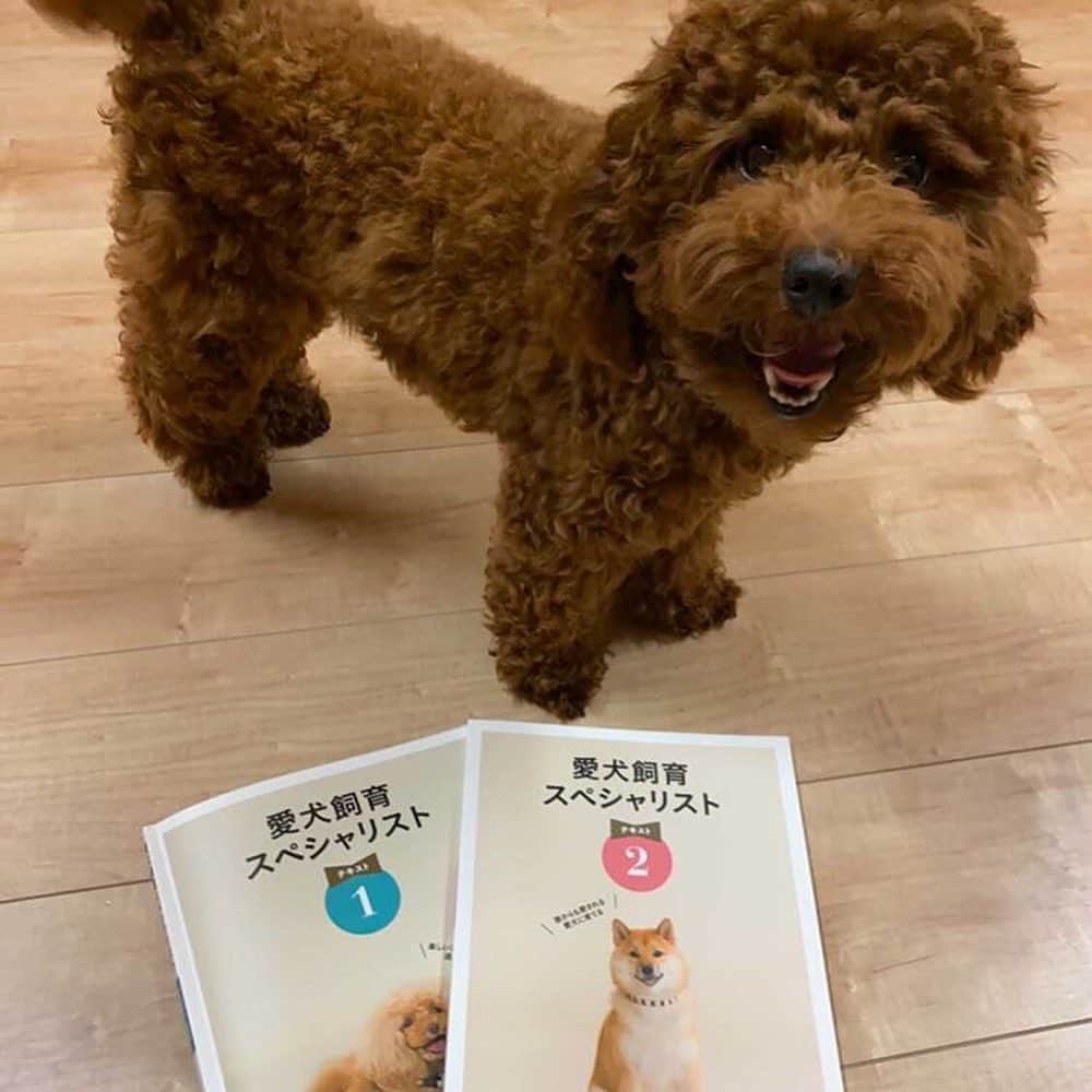 生涯学習のユーキャンのインスタグラム
