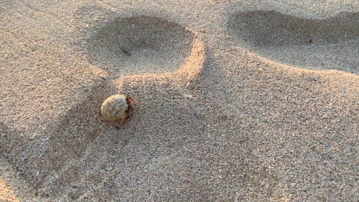 氷浦紫のインスタグラム