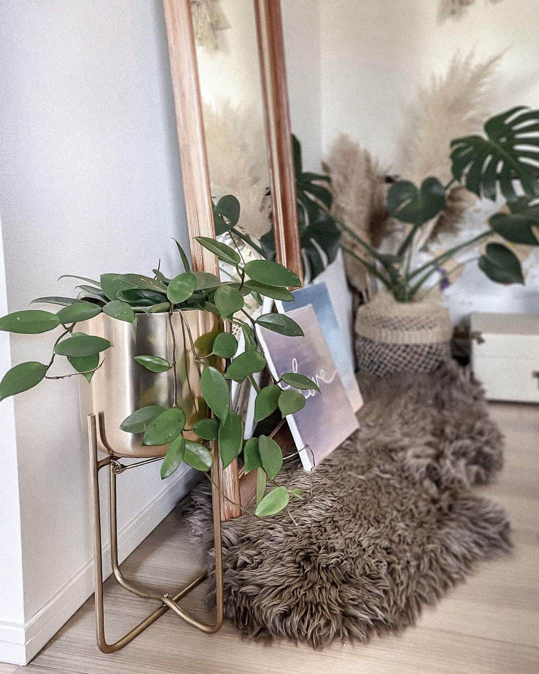 Manamiのインスタグラム：「🌿🌿🌿 新しいお気に入りのgreenとgold planter🪐🌿 可愛いなぁ🥰 前にストーリーしてた @club_esta のなんだけど まさかのMOONLITから徒歩1分のところにあって インテリア好きそうなお客様みんなにおすすめしてる😚 他のアイテムも写真撮ったらまたpostしよっと🌿  #マナシカの家」