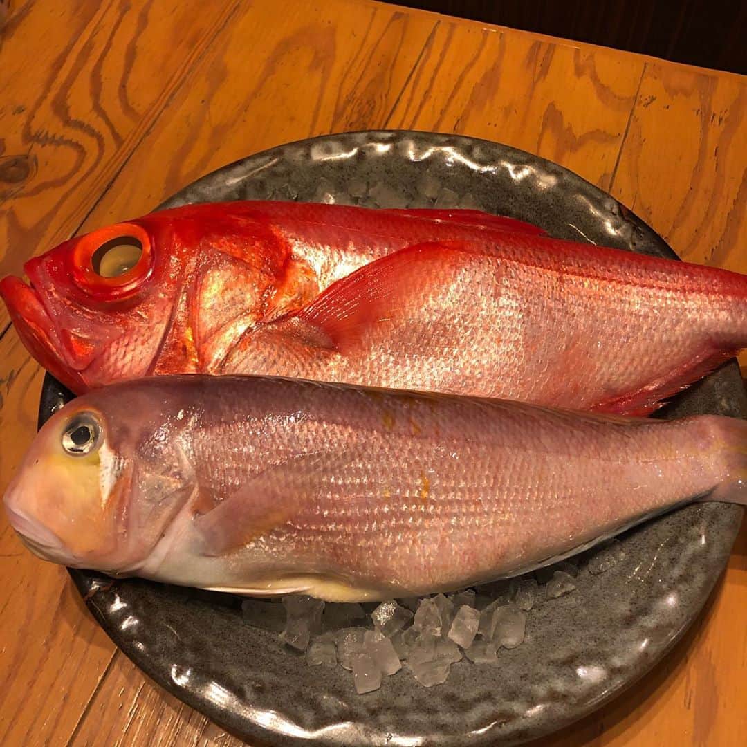 浪花ろばた 頂鯛 北新地店のグルメインスタ