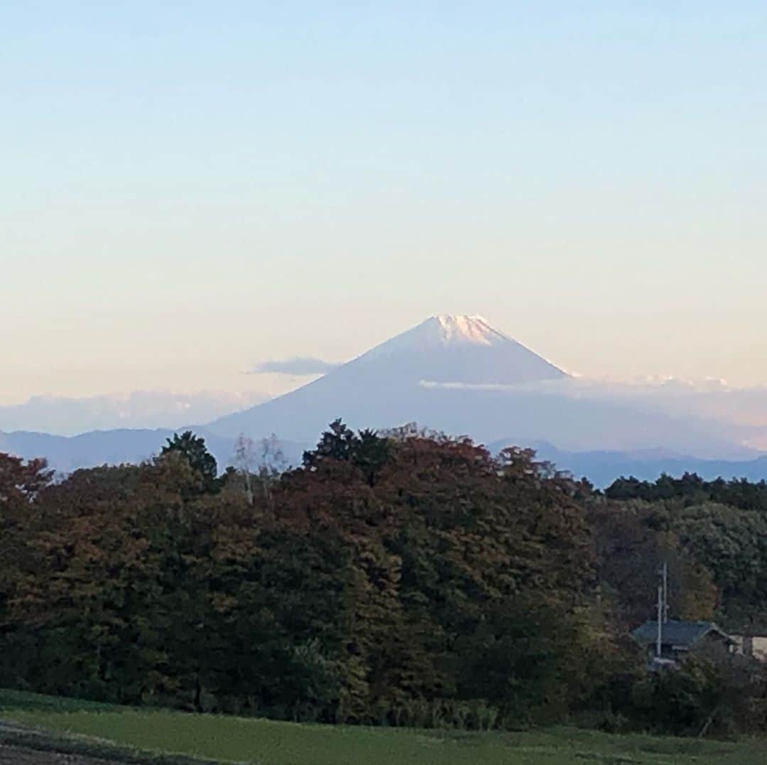 ティ・カトウさんのインスタグラム写真 - (ティ・カトウInstagram)「ティーの山梨見聞録　その46 「久々に畑から見えた富士山」 小さな畑ですが、豪農気分を味わえる瞬間があります。 それが農作業の合間に顔を上げると見えるこの富士山です！ いやあ、天下とったわー。  #ティの山梨見聞録 #富士山 #天下一  #畑の野菜 #今年は #あまり育ちませんでした」11月4日 17時33分 - tea_kato
