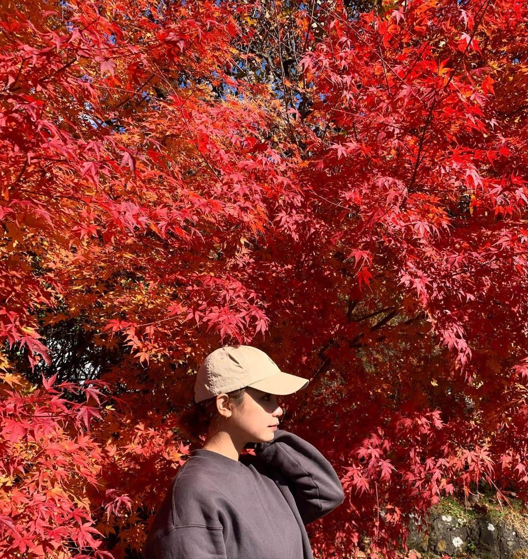 佐々木まゆのインスタグラム：「しっかり紅葉  #伊香保温泉 #榛名山」