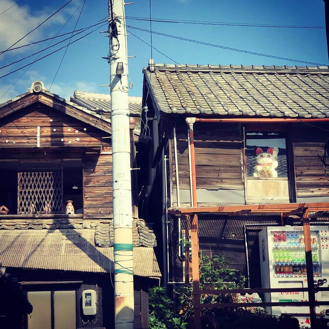 鶴田真由のインスタグラム：「ロケの合間に招き猫🐈に誘われて陶器の町　常滑@愛知　にてお散歩🚶‍♀️👣」