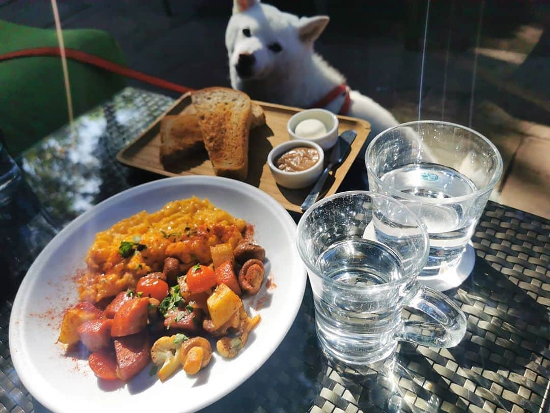 脇田恵子のグルメインスタ