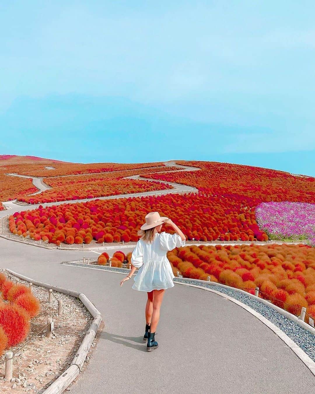 タビジョのインスタグラム：「タビジョのみなさんこんばんは🤗 日本各地で紅葉のシーズン到来ですね🍂👭🏻 Go To トラベルを利用してお買い得に旅しているタビジョも多いのでは😳⁉️ 是非#tabijyomap_japan でシェアしてね🥴🌾  本日も@tabi_jyoではいつか行きたい国内・海外スポットをご紹介💁🏻‍♀️💕 ＊＊＊＊ 📸 @sachicoco23  🚩茨城県「国営ひたち海浜公園」 ＊＊＊＊＊＊ 🔻こんなお写真募集中🔻 ・私の地元にこんな素敵なスポットがあるよ📷 落ち着いたら是非遊びに来て欲しい🥺💕 ・以前訪れた私のおすすめスポット、タビジョのみんなにシェアしたい😊 など #タビジョ #tabijyomap_japan をタグ付けして投稿してね😉」