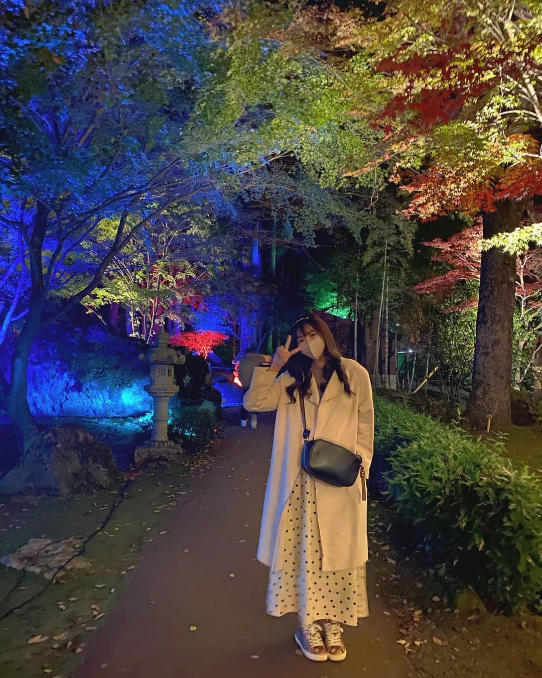 Dorothy Little Happyのインスタグラム：「✿ ふぅか ✿ ⋱⋰ ⋱⋰ ⋱⋰ ⋱⋰ ⋱⋰ ⋱⋰ ⋱⋰ ・ ・ 今年も 秋という季節を 感じて触れ合ってきました💗 ・ ・ #dorothylittlehappy  #autumn #紅葉🍁 #ライトアップ紅葉  ⋱⋰ ⋱⋰ ⋱⋰ ⋱⋰ ⋱⋰ ⋱⋰ ⋱⋰」