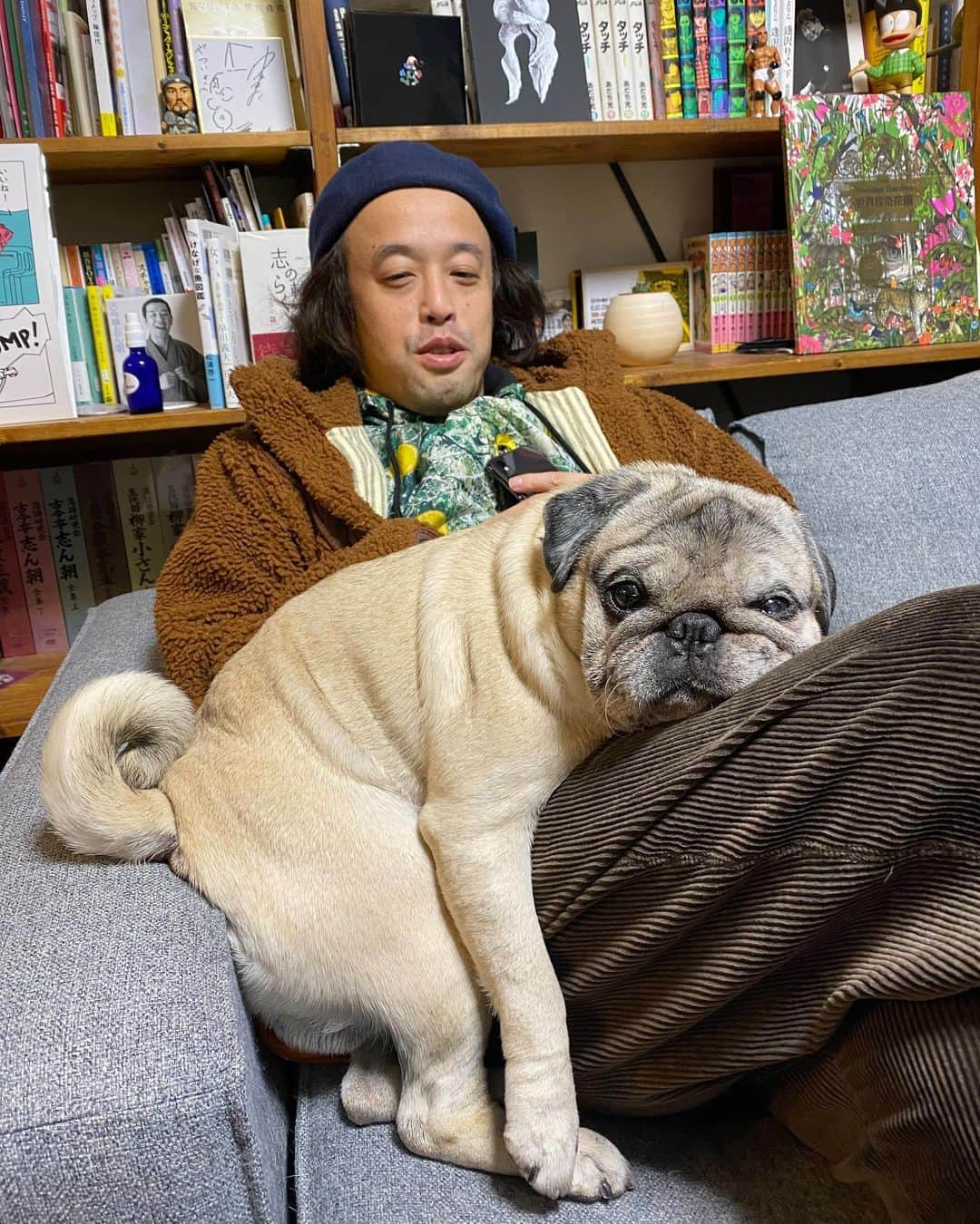 やついいちろうさんのインスタグラム写真 - (やついいちろうInstagram)「取り憑いてる犬  #pug #pugs #puglife #puglove #パグ #パグスタグラム」11月4日 18時28分 - yatsuiichiro