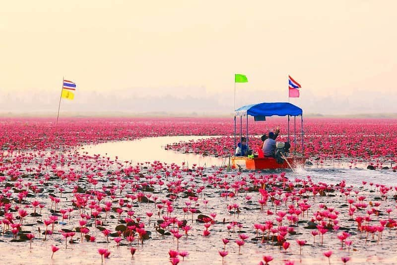 タイ国政府観光庁のインスタグラム