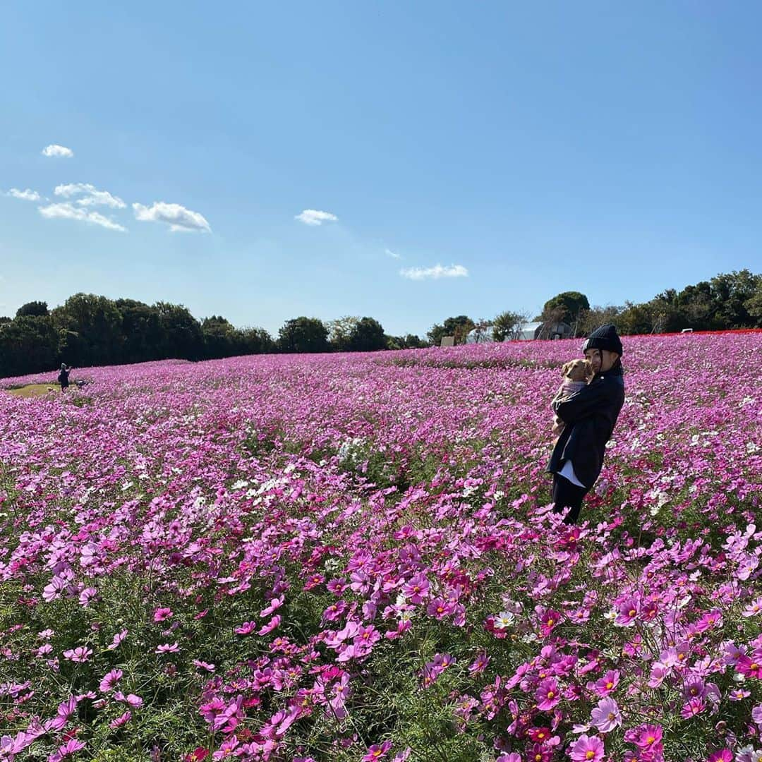 上枝恵美加のインスタグラム