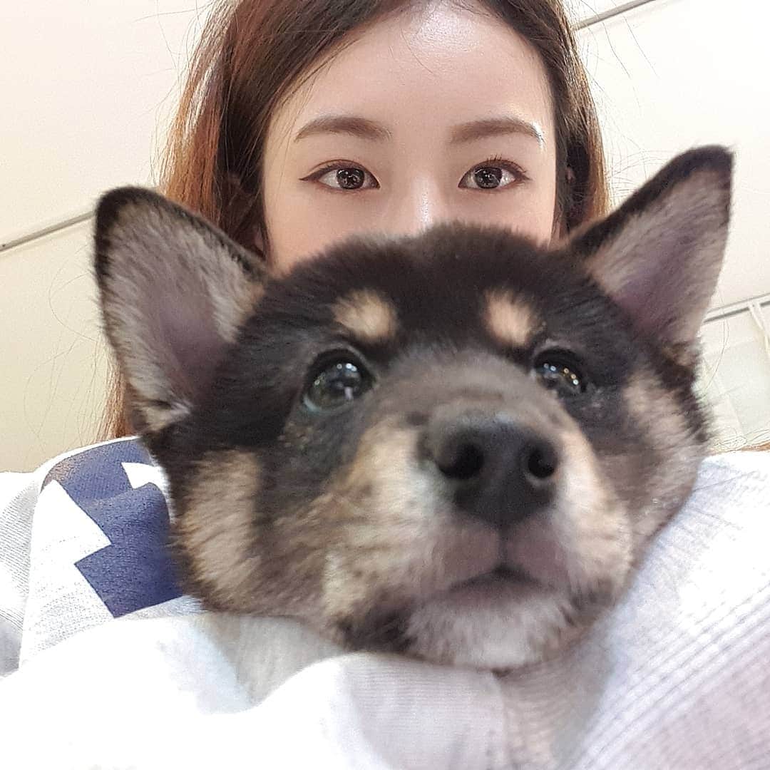 シアのインスタグラム：「태식잉🖤」