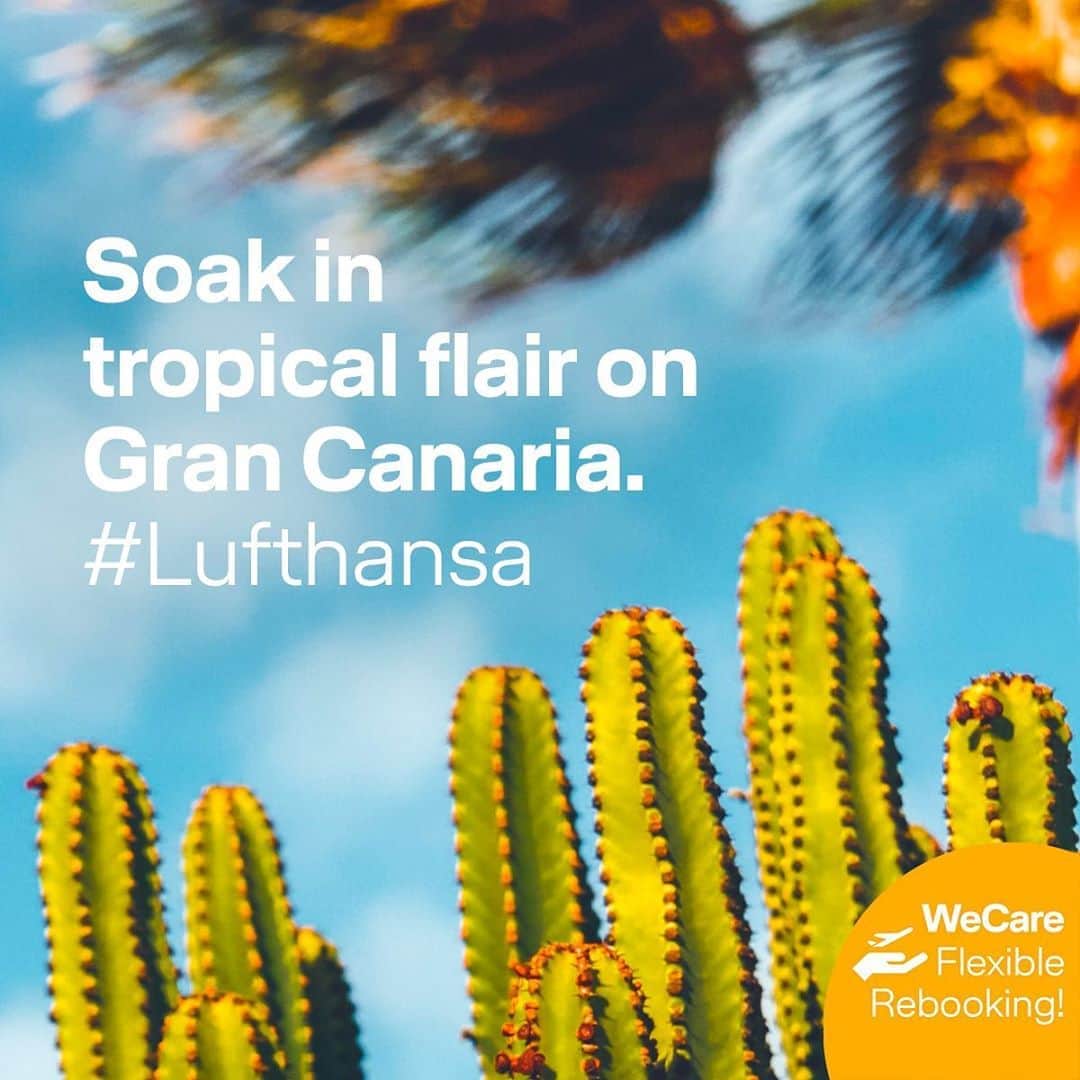 ルフトハンザさんのインスタグラム写真 - (ルフトハンザInstagram)「Explore the colorful contrasts of Gran Canaria. #Lufthansa」11月4日 18時59分 - lufthansa