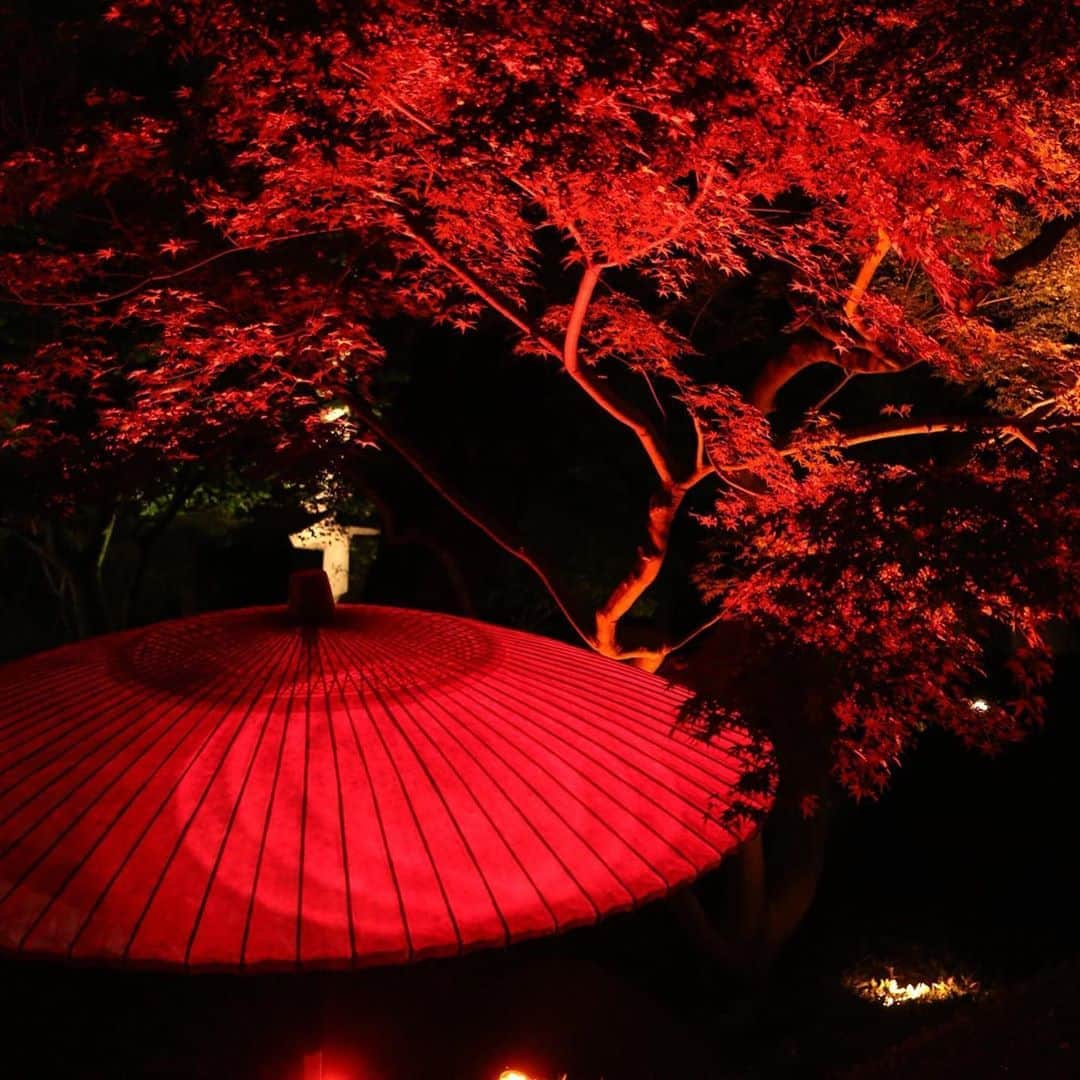 八芳園のインスタグラム