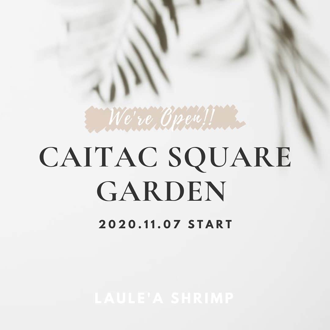 森山菜々のインスタグラム：「.﻿ 11月7日(土)よりCAITAC SQUARE GARDEN(カイタックスクエアガーデン)にLAULE'A SHRIMPの出店が決定しました〜〜🌴✨﻿ ﻿ これまで糸島の店舗に、お仕事や交通手段等の点でなかなか来づらかった皆さんにも、天神での出店なので気軽に立ち寄って当店のガーリックシュリンプを食べてもらえたらなーって思ってます🦐🤍﻿ ﻿ わたしほぼ糸島店に居るけど、11月7日以降は、糸島の店舗とCAITAC SQUARE GARDENと2店舗どちらもよろしくお願いします🌼✨✨﻿ ﻿ LAULE'A SHRIMP カイタックスクエアガーデン店﻿ 福岡市中央区警固1-15-38﻿ OPEN 11:00 - CLOSE 20:00﻿ ﻿ LAULE'A SHRIMP 糸島店﻿ 糸島市志摩岐志1442-2﻿ OPEN 11:00 - CLOSE 15:30(完売次第終了)﻿ ﻿ #LAULEASHRIMP #ラウレアシュリンプ﻿ #CAITACSQUAREGARDEN #カイタックスクエアガーデン」