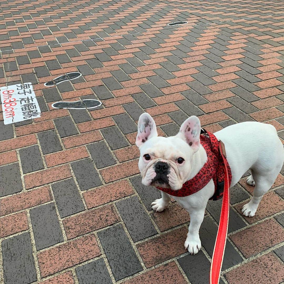 なべやかんのインスタグラム